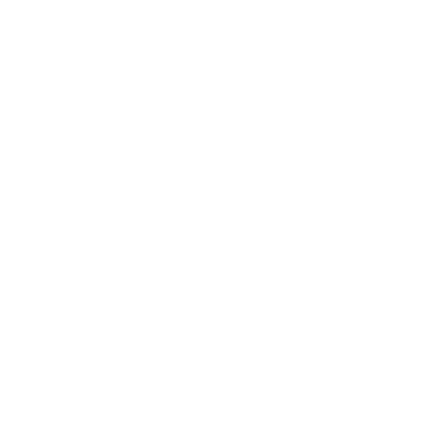 Bird icon