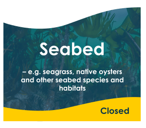 SEABED – e.g. seagrass, native oysters and other seabed species and habitats - CLOSED