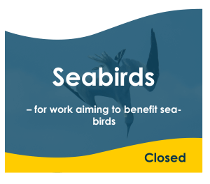 Seabirds – for work aiming to benefit seabirds - Closed